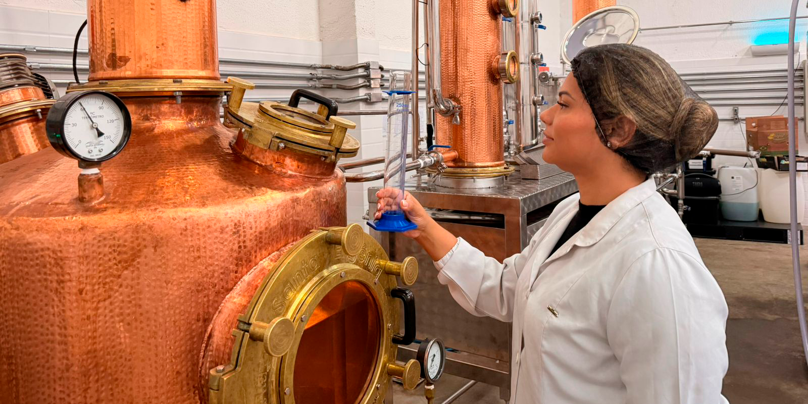 Técnicas de Manejo e Estratégias de Planejamento de Adegas para o envelhecimento de Cachaça